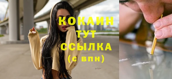 стафф Богородск