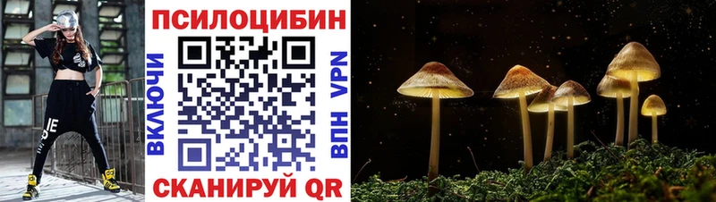 Галлюциногенные грибы прущие грибы  Сургут 